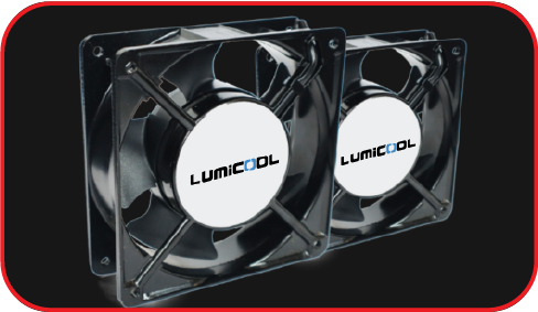 Dual Fans